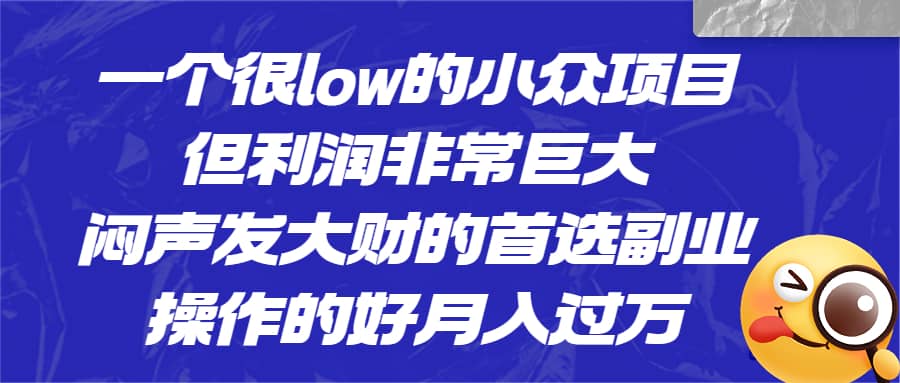 一个很low的小众项目，但利润非常巨大，闷声发大财的首选副业，月入过万-扬明网创