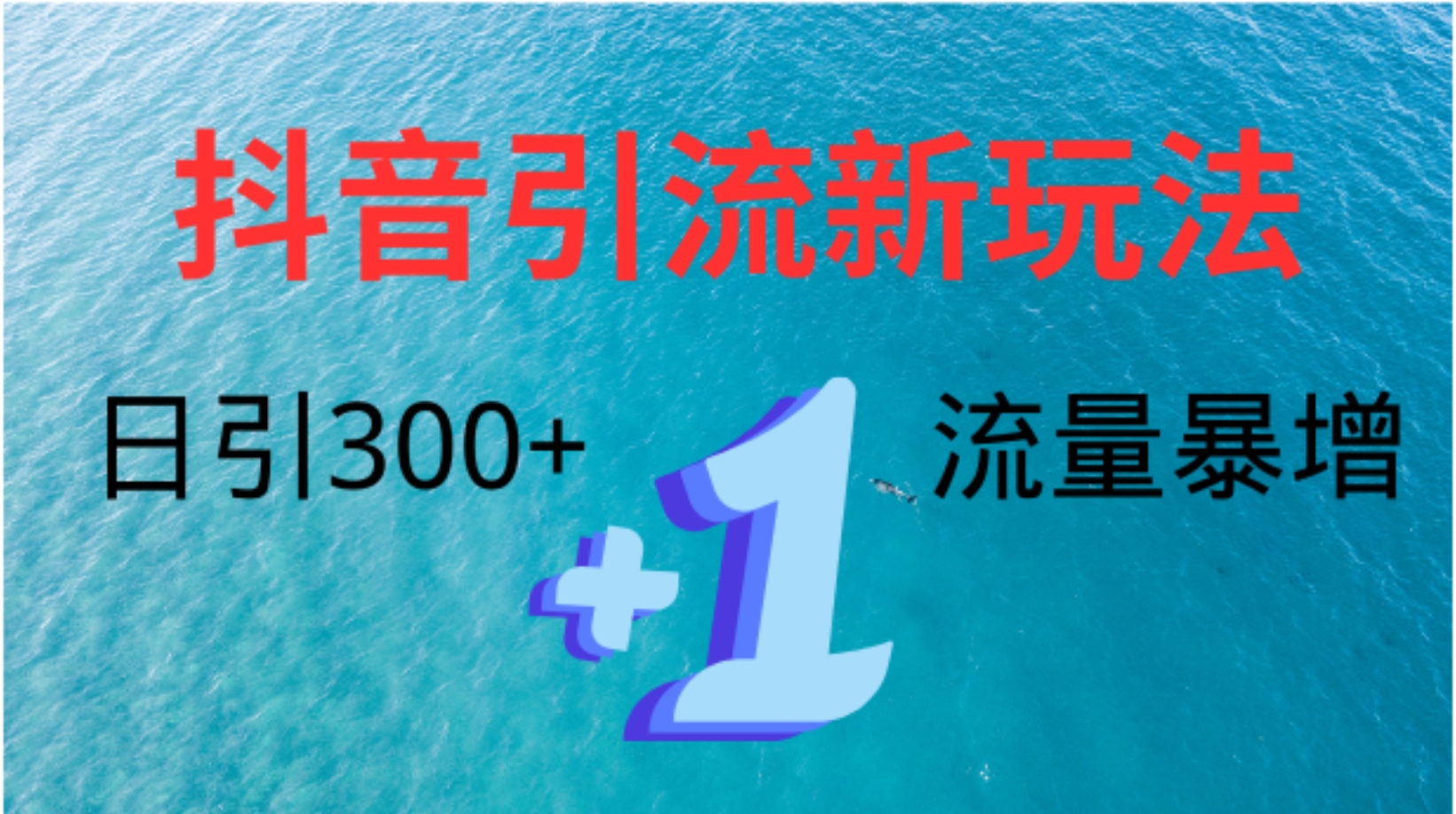 创业粉高效引流，抖音工具号玩法4.0，日引300+-扬明网创