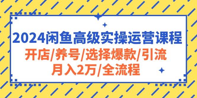 2024闲鱼高级实操运营课程：开店/养号/选择爆款/引流/月入2万/全流程-扬明网创