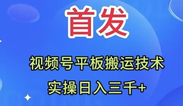 全网首发：视频号平板搬运技术，实操日入三千＋-扬明网创