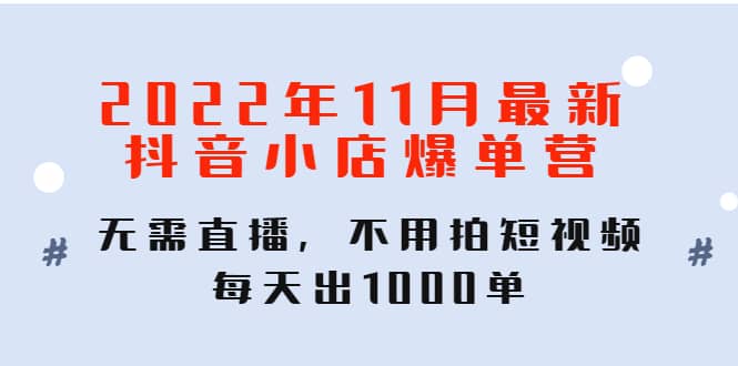 2022年11月最新抖音小店爆单训练营：无需直播，不用拍短视频，每天出1000单-扬明网创