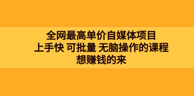 全网最单高价自媒体项目：上手快 可批量 无脑操作的课程，想赚钱的来-扬明网创