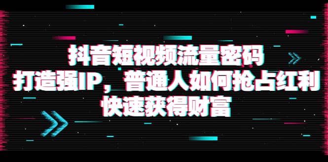 抖音短视频流量密码：打造强IP，普通人如何抢占红利，快速获得财富-扬明网创