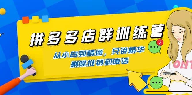 拼多多店群训练营：从小白到精通，只讲精华，剔除推销和废话-扬明网创