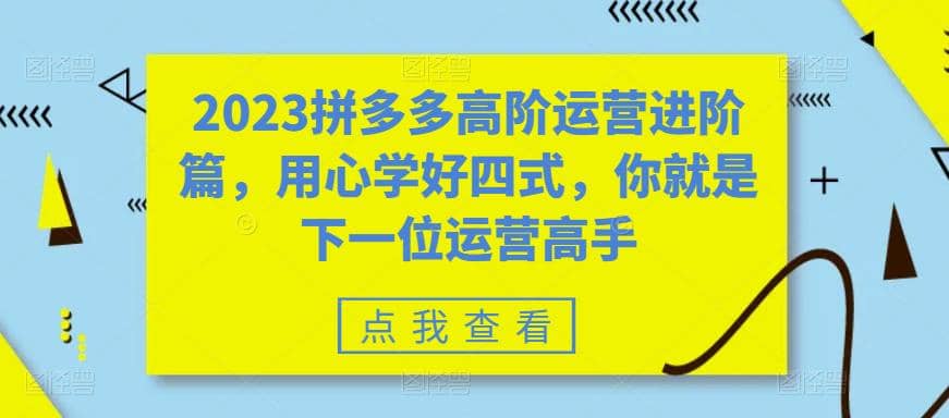 2023拼多多高阶运营进阶篇，用心学好四式，你就是下一位运营高手-扬明网创