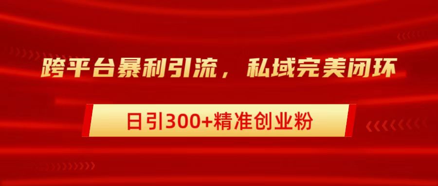 跨平台暴力引流，私域完美闭环，日引300+精准创业粉-扬明网创