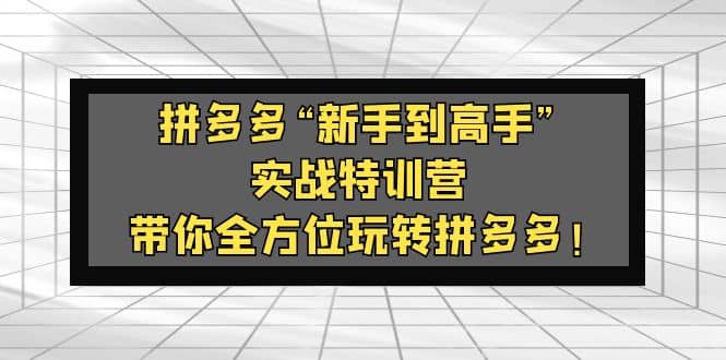 拼多多“新手到高手”实战特训营：带你全方位玩转拼多多-扬明网创