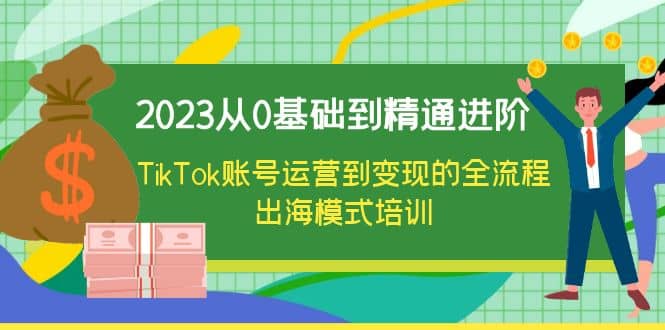 2023从0基础到精通进阶，TikTok账号运营到变现的全流程出海模式培训-扬明网创