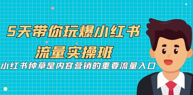 5天带你玩爆小红书流量实操班，小红书种草是内容营销的重要流量入口-扬明网创