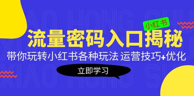 小红书流量密码入口揭秘：带你玩转小红书各种玩法 运营技巧+优化-扬明网创