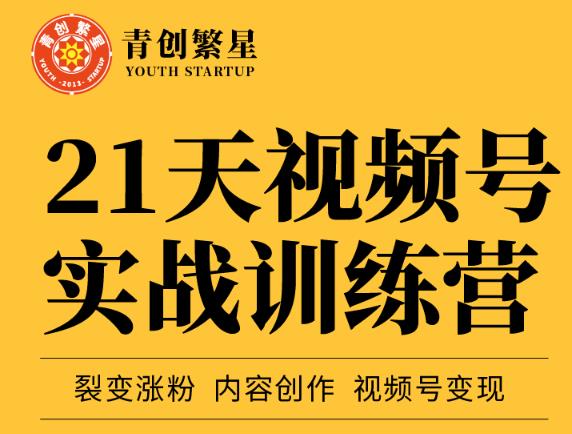 张萌21天视频号实战训练营，裂变涨粉、内容创作、视频号变现 价值298元-扬明网创