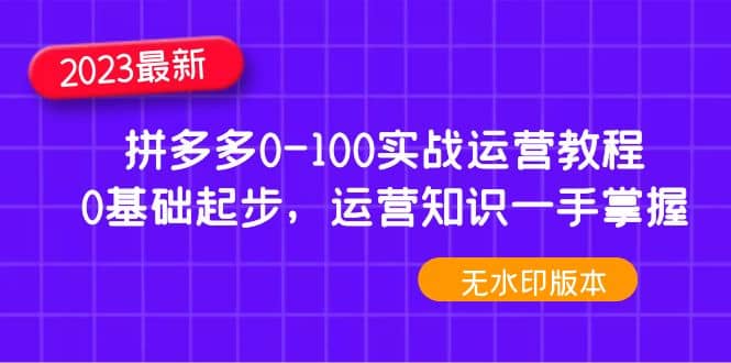 2023拼多多0-100实战运营教程，0基础起步，运营知识一手掌握（无水印）-扬明网创