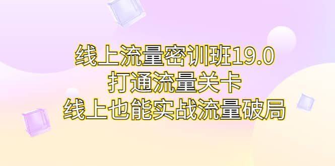 线上流量密训班19.0，打通流量关卡，线上也能实战流量破局-扬明网创