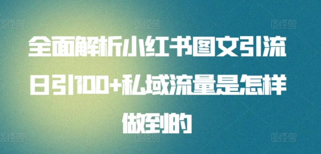 日引流100私域流量小红书图文是怎样做到的全面解析-扬明网创