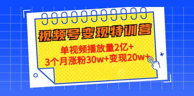 20天视频号变现特训营：单视频播放量2亿+-扬明网创