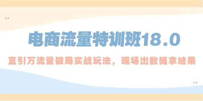 电商流量特训班18.0，直引万流量破局实操玩法，现场出数据拿结果-扬明网创