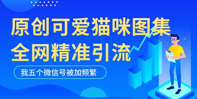 黑科技纯原创可爱猫咪图片，全网精准引流，实操5个VX号被加频繁-扬明网创