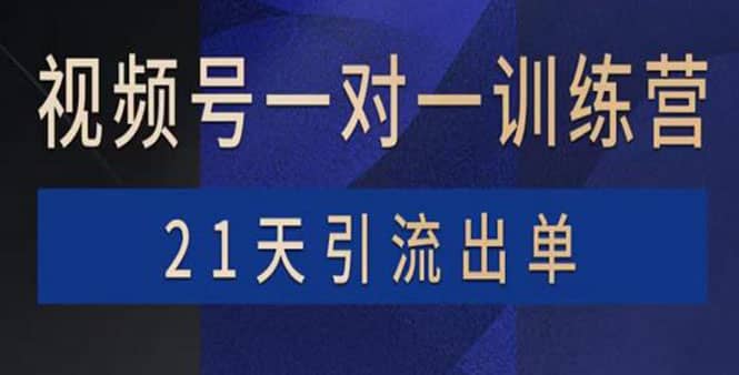 视频号训练营：带货，涨粉，直播，游戏，四大变现新方向，21天引流出单-扬明网创