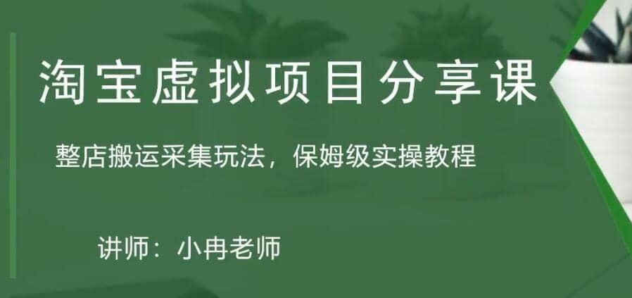 淘宝虚拟整店搬运采集玩法分享课：整店搬运采集玩法，保姆级实操教程-扬明网创