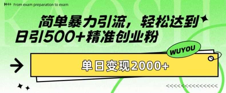 简单暴力引流轻松达到日引500+精准创业粉，单日变现2k【揭秘】-扬明网创