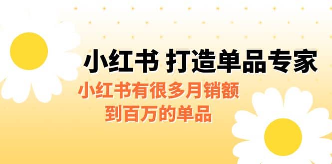 某公众号付费文章《小红书 打造单品专家》小红书有很多月销额到百万的单品-扬明网创