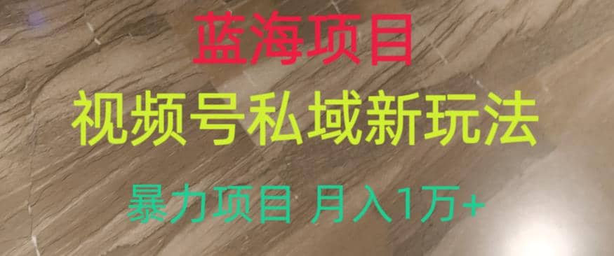 蓝海项目，视频号私域新玩法，暴力项目月入1万+【揭秘】-扬明网创