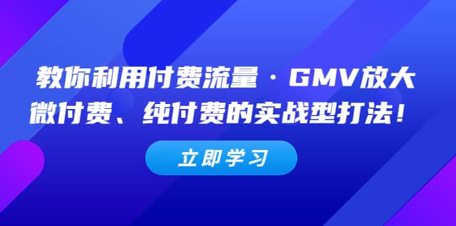 教你利用付费流量·GMV放大，微付费、纯付费的实战型打法-扬明网创