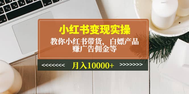 小红书变现实操：教你小红书带货，白嫖产品，赚广告佣金等-扬明网创