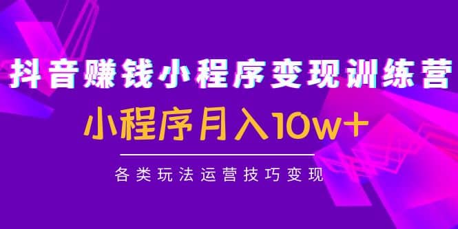 抖音小程序变现训练营：小程序各类玩法运营技巧变现-扬明网创