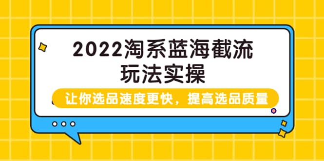 2022淘系蓝海截流玩法实操：让你选品速度更快，提高选品质量（价值599）-扬明网创