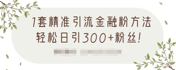 1套精准引流金融粉方法，轻松日引300+粉丝【视频课程】-扬明网创