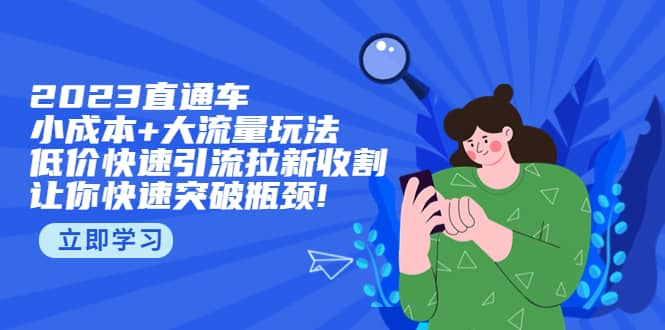 2023直通小成本+大流量玩法，低价快速引流拉新收割，让你快速突破瓶颈-扬明网创