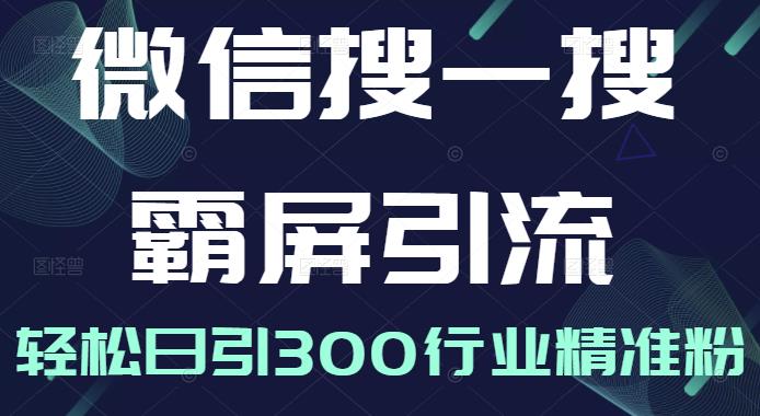 微信搜一搜霸屏引流课，打造被动精准引流系统，轻松日引300行业精准粉【无水印】-扬明网创