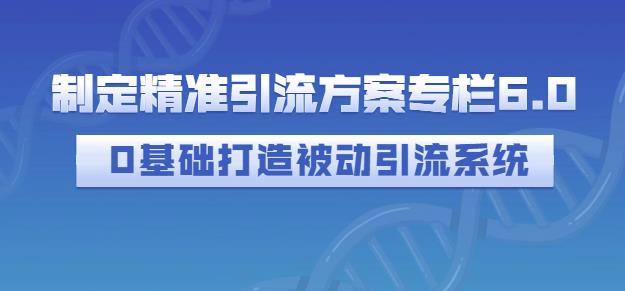 制定精准引流方案专栏6.0，0基础打造被动引流系统-扬明网创