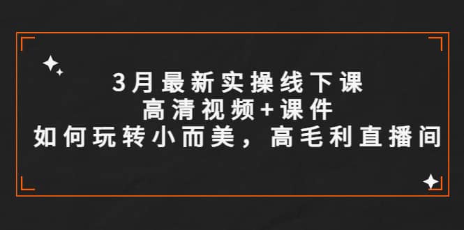 3月最新实操线下课高清视频+课件，如何玩转小而美，高毛利直播间-扬明网创