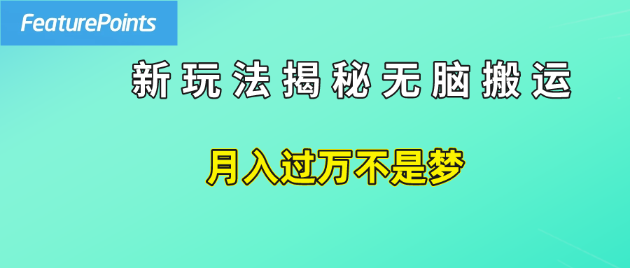 简单操作，每天50美元收入，搬运就是赚钱的秘诀！-扬明网创