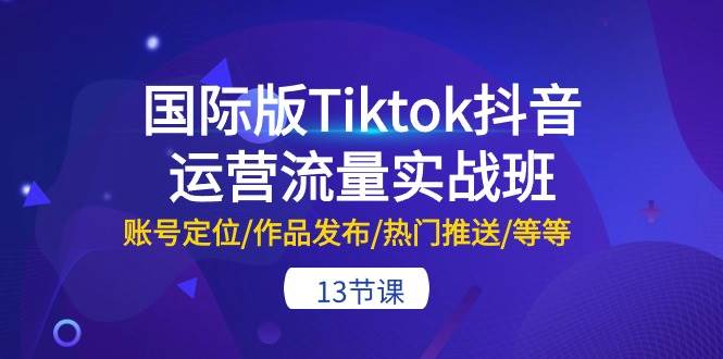 国际版Tiktok抖音运营流量实战班：账号定位/作品发布/热门推送/等等-13节-扬明网创