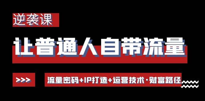 让普通人自带流量的逆袭课：流量密码+IP打造+运营技术·财富路径-扬明网创