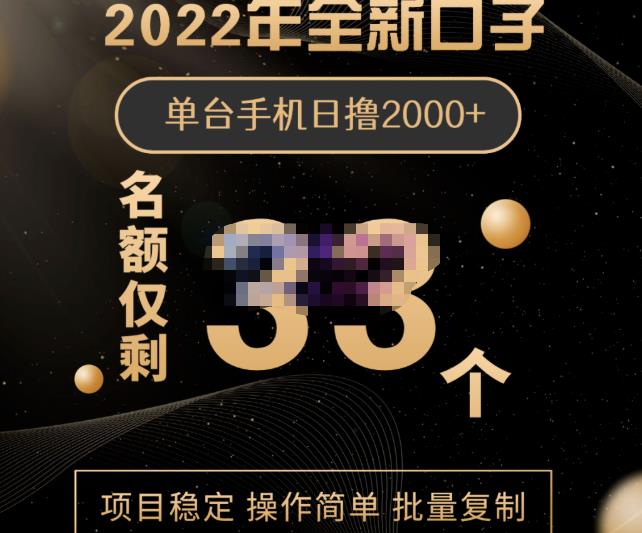 2022年全新口子，手机批量搬砖玩法，一部手机日撸2000+-扬明网创