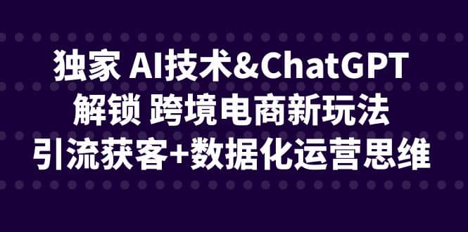 独家 AI技术ChatGPT解锁 跨境电商新玩法，引流获客+数据化运营思维-扬明网创