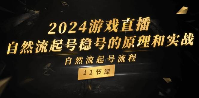 2024游戏直播-自然流起号稳号的原理和实战，自然流起号流程（11节）-扬明网创