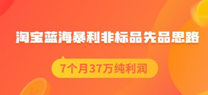 盗坤淘宝蓝海暴利非标品先品思路，7个月37万纯利润，压箱干货分享！【付费文章】-扬明网创