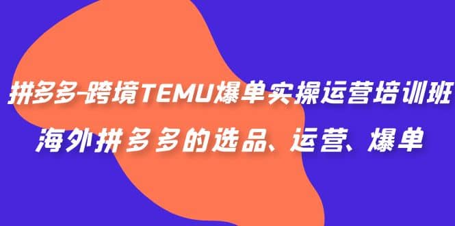 拼多多-跨境TEMU爆单实操运营培训班，海外拼多多的选品、运营、爆单-扬明网创