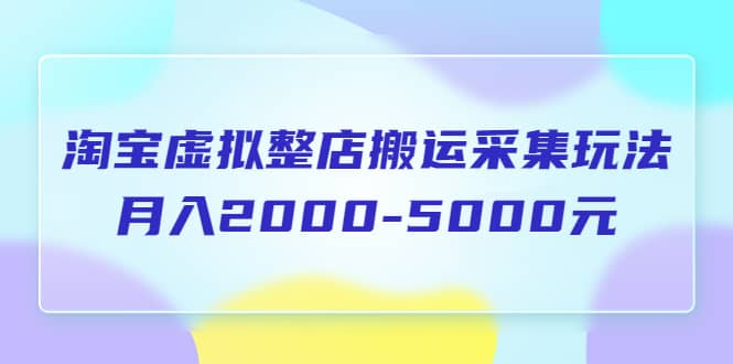 淘宝虚拟整店搬运采集玩法分享课：月入2000-5000元（5节课）-扬明网创