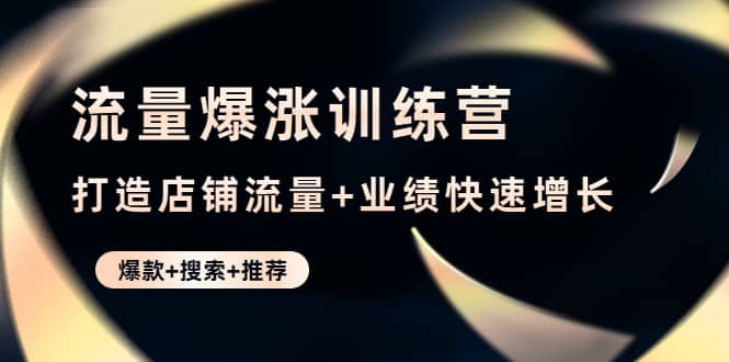 流量爆涨训练营：打造店铺流量+业绩快速增长 (爆款+搜索+推荐)-扬明网创