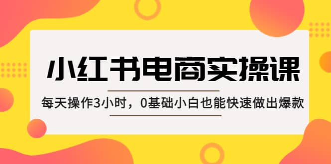 小红书·电商实操课：每天操作3小时，0基础小白也能快速做出爆款-扬明网创