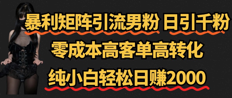 暴利矩阵引流男粉（日引千粉），零成本高客单高转化，纯小白轻松日赚2000+-扬明网创