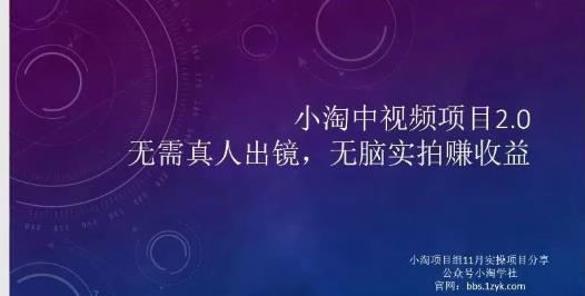 小淘项目组网赚永久会员，绝对是具有实操价值的，适合有项目做需要流程【持续更新】-扬明网创