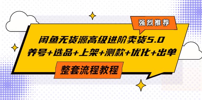 闲鱼无货源高级进阶卖货5.0，养号+选品+上架+测款+优化+出单整套流程教程-扬明网创