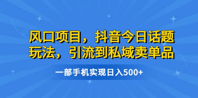 风口项目，抖音今日话题玩法，引流到私域卖单品，一部手机实现日入500+-扬明网创